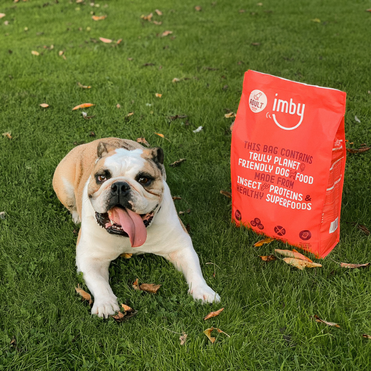IMBY Insect-Based Vitality Dog Food