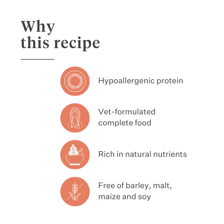 Imby Vitality dog food, complete everyday dry food for dogs of all breeds and life stages, based on hypoallergenic insect protein, supports digestion and overall wellbeing, highly digestible and eco-conscious nutrition, balanced formula developed by vets, highly palatable kibble. | localization: EN