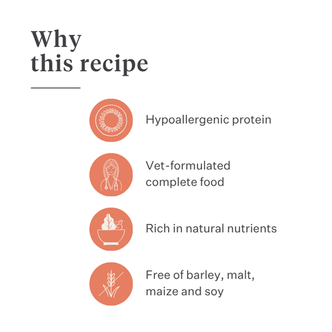 Imby Vitality dog food, complete everyday dry food for dogs of all breeds and life stages, based on hypoallergenic insect protein, supports digestion and overall wellbeing, highly digestible and eco-conscious nutrition, balanced formula developed by vets, highly palatable kibble. | localization: EN