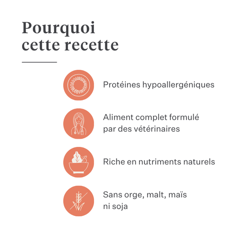 Imby Vitality nourriture pour chiens, aliment sec complet quotidien pour chiens de toutes races et à tous les stades de vie, à base de protéines d’insectes hypoallergéniques, soutient la digestion et le bien-être général, nutrition hautement digestible et écoresponsable, formule équilibrée développée par des vétérinaires, croquettes très appétentes. | localization: FR