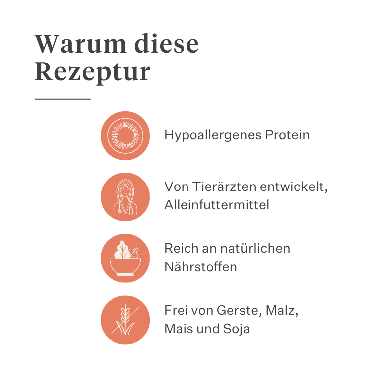 Imby Vitality Hundefutter, vollständiges tägliches Trockenfutter für Hunde aller Rassen und Lebensphasen, auf Basis hypoallergener Insektenproteine, unterstützt die Verdauung und das allgemeine Wohlbefinden, hochverdauliche und umweltbewusste Ernährung, ausgewogene von Tierärzten entwickelte Formel, sehr schmackhafte Kroketten. | localization: DE