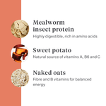Imby Vitality dog food, complete everyday dry food for dogs of all breeds and life stages, based on hypoallergenic insect protein, supports digestion and overall wellbeing, highly digestible and eco-conscious nutrition, balanced formula developed by vets, highly palatable kibble. | localization: EN