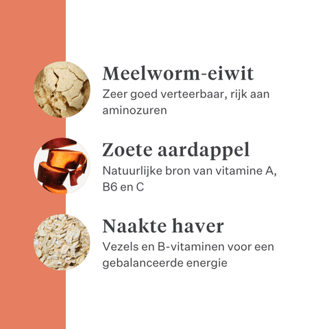 Imby Vitality hondenvoer, volledig dagelijks droogvoer voor honden van alle rassen en levensfasen, op basis van hypoallergene insecteneiwitten, ondersteunt de spijsvertering en het algemeen welzijn, licht verteerbare en milieubewuste voeding, uitgebalanceerde formule ontwikkeld door dierenartsen, zeer smakelijke brok. | localization: NL