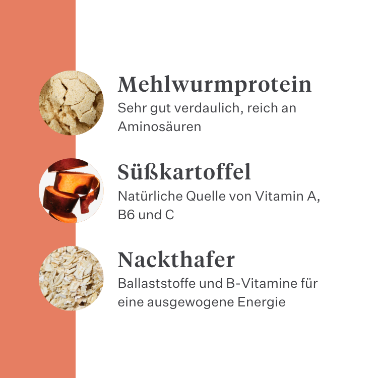 Imby Vitality Hundefutter, vollständiges tägliches Trockenfutter für Hunde aller Rassen und Lebensphasen, auf Basis hypoallergener Insektenproteine, unterstützt die Verdauung und das allgemeine Wohlbefinden, hochverdauliche und umweltbewusste Ernährung, ausgewogene von Tierärzten entwickelte Formel, sehr schmackhafte Kroketten. | localization: DE