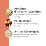 Imby Vitality nourriture pour chiens, aliment sec complet quotidien pour chiens de toutes races et à tous les stades de vie, à base de protéines d’insectes hypoallergéniques, soutient la digestion et le bien-être général, nutrition hautement digestible et écoresponsable, formule équilibrée développée par des vétérinaires, croquettes très appétentes. | localization: FR
