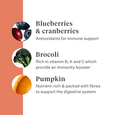 Imby Vitality dog food, complete everyday dry food for dogs of all breeds and life stages, based on hypoallergenic insect protein, supports digestion and overall wellbeing, highly digestible and eco-conscious nutrition, balanced formula developed by vets, highly palatable kibble. | localization: EN