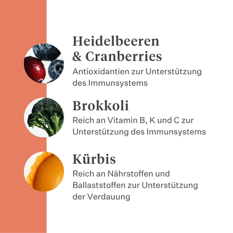 Imby Vitality Hundefutter, vollständiges tägliches Trockenfutter für Hunde aller Rassen und Lebensphasen, auf Basis hypoallergener Insektenproteine, unterstützt die Verdauung und das allgemeine Wohlbefinden, hochverdauliche und umweltbewusste Ernährung, ausgewogene von Tierärzten entwickelte Formel, sehr schmackhafte Kroketten. | localization: DE