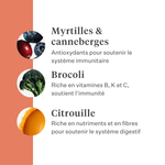 Imby Vitality nourriture pour chiens, aliment sec complet quotidien pour chiens de toutes races et à tous les stades de vie, à base de protéines d’insectes hypoallergéniques, soutient la digestion et le bien-être général, nutrition hautement digestible et écoresponsable, formule équilibrée développée par des vétérinaires, croquettes très appétentes. | localization: FR