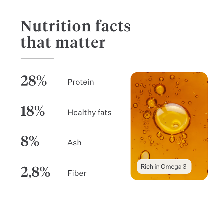 Imby Vitality dog food, complete everyday dry food for dogs of all breeds and life stages, based on hypoallergenic insect protein, supports digestion and overall wellbeing, highly digestible and eco-conscious nutrition, balanced formula developed by vets, highly palatable kibble. | localization: EN