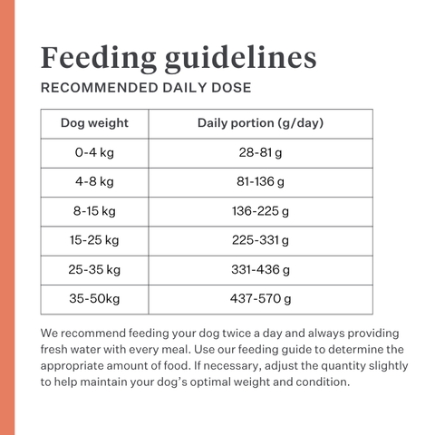 Imby Vitality dog food, complete everyday dry food for dogs of all breeds and life stages, based on hypoallergenic insect protein, supports digestion and overall wellbeing, highly digestible and eco-conscious nutrition, balanced formula developed by vets, highly palatable kibble. | localization: EN