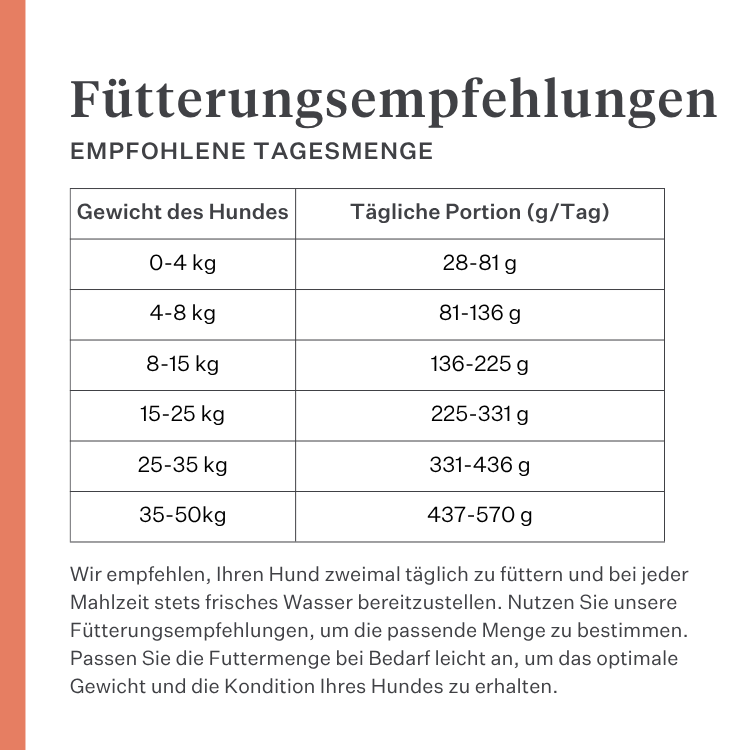 Imby Vitality Hundefutter, vollständiges tägliches Trockenfutter für Hunde aller Rassen und Lebensphasen, auf Basis hypoallergener Insektenproteine, unterstützt die Verdauung und das allgemeine Wohlbefinden, hochverdauliche und umweltbewusste Ernährung, ausgewogene von Tierärzten entwickelte Formel, sehr schmackhafte Kroketten. | localization: DE