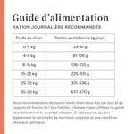 Imby Vitality nourriture pour chiens, aliment sec complet quotidien pour chiens de toutes races et à tous les stades de vie, à base de protéines d’insectes hypoallergéniques, soutient la digestion et le bien-être général, nutrition hautement digestible et écoresponsable, formule équilibrée développée par des vétérinaires, croquettes très appétentes. | localization: FR