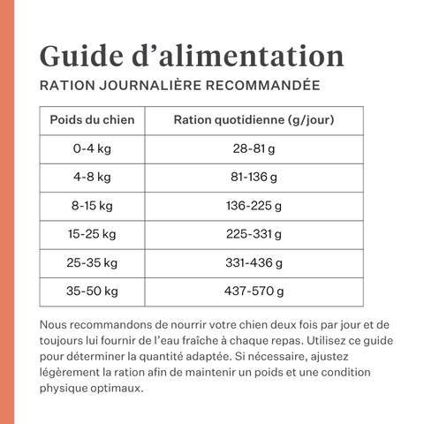 Imby Vitality nourriture pour chiens, aliment sec complet quotidien pour chiens de toutes races et à tous les stades de vie, à base de protéines d’insectes hypoallergéniques, soutient la digestion et le bien-être général, nutrition hautement digestible et écoresponsable, formule équilibrée développée par des vétérinaires, croquettes très appétentes. | localization: FR