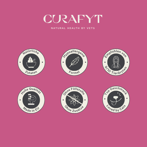 Imby Vitality Katzenfutter, vollständiges hypoallergenes Trockenfutter für Katzen, auf Basis von Insektenprotein und natürlichen Superfoods, unterstützt die allgemeine Gesundheit und das Wohlbefinden, hilft die Harnwege und Gelenke zu unterstützen, ausgewogene von Tierärzten entwickelte Formel, sehr schmackhafte Kroketten. | localization: DE