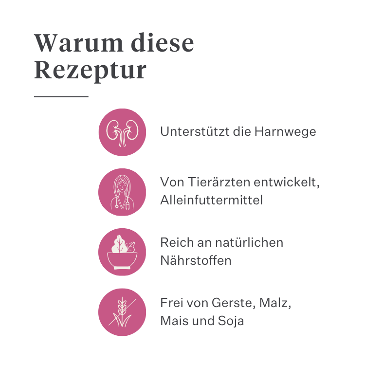 Imby Vitality Katzenfutter, vollständiges hypoallergenes Trockenfutter für Katzen, auf Basis von Insektenprotein und natürlichen Superfoods, unterstützt die allgemeine Gesundheit und das Wohlbefinden, hilft die Harnwege und Gelenke zu unterstützen, ausgewogene von Tierärzten entwickelte Formel, sehr schmackhafte Kroketten. | localization: DE