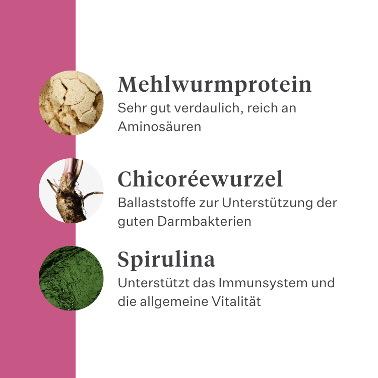Imby Vitality Katzenfutter, vollständiges hypoallergenes Trockenfutter für Katzen, auf Basis von Insektenprotein und natürlichen Superfoods, unterstützt die allgemeine Gesundheit und das Wohlbefinden, hilft die Harnwege und Gelenke zu unterstützen, ausgewogene von Tierärzten entwickelte Formel, sehr schmackhafte Kroketten. | localization: DE