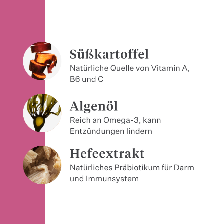 Imby Vitality Katzenfutter, vollständiges hypoallergenes Trockenfutter für Katzen, auf Basis von Insektenprotein und natürlichen Superfoods, unterstützt die allgemeine Gesundheit und das Wohlbefinden, hilft die Harnwege und Gelenke zu unterstützen, ausgewogene von Tierärzten entwickelte Formel, sehr schmackhafte Kroketten. | localization: DE