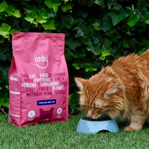 IMBY Vitality Croquettes pour chat