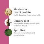 Imby Vitality cat food, complete hypoallergenic dry food for cats, made with insect protein and natural superfoods, supports overall health and wellbeing, helps maintain urinary health and joint support, balanced formula developed by vets, highly palatable kibble. | localization: EN