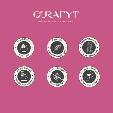 Imby Vitality nourriture pour chats, aliment sec complet hypoallergénique pour chats, à base de protéines d’insectes et de superaliments naturels, soutient la santé globale et le bien-être, aide à maintenir la santé urinaire et le soutien des articulations, formule équilibrée développée par des vétérinaires, croquettes très appétentes. | localization: FR