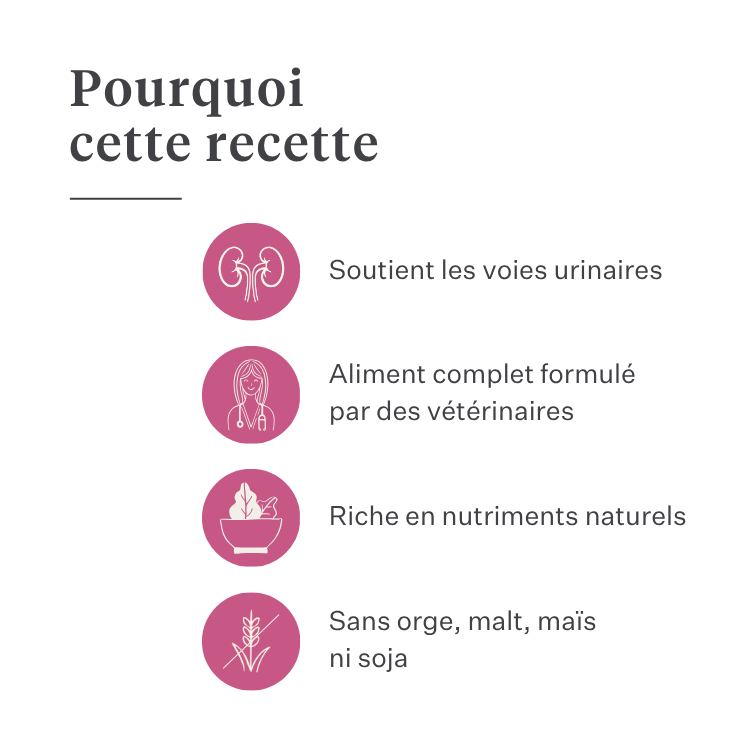 Imby Vitality nourriture pour chats, aliment sec complet hypoallergénique pour chats, à base de protéines d’insectes et de superaliments naturels, soutient la santé globale et le bien-être, aide à maintenir la santé urinaire et le soutien des articulations, formule équilibrée développée par des vétérinaires, croquettes très appétentes. | localization: FR