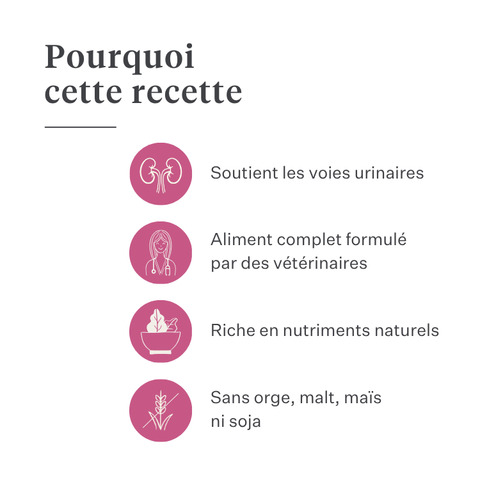 Imby Vitality nourriture pour chats, aliment sec complet hypoallergénique pour chats, à base de protéines d’insectes et de superaliments naturels, soutient la santé globale et le bien-être, aide à maintenir la santé urinaire et le soutien des articulations, formule équilibrée développée par des vétérinaires, croquettes très appétentes. | localization: FR