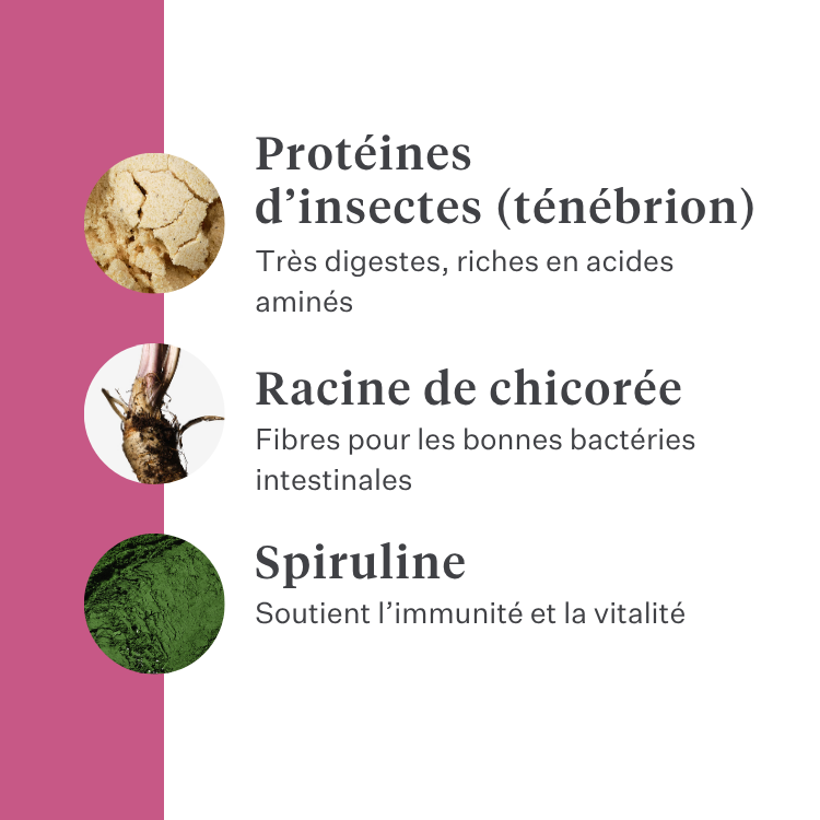 Imby Vitality nourriture pour chats, aliment sec complet hypoallergénique pour chats, à base de protéines d’insectes et de superaliments naturels, soutient la santé globale et le bien-être, aide à maintenir la santé urinaire et le soutien des articulations, formule équilibrée développée par des vétérinaires, croquettes très appétentes. | localization: FR