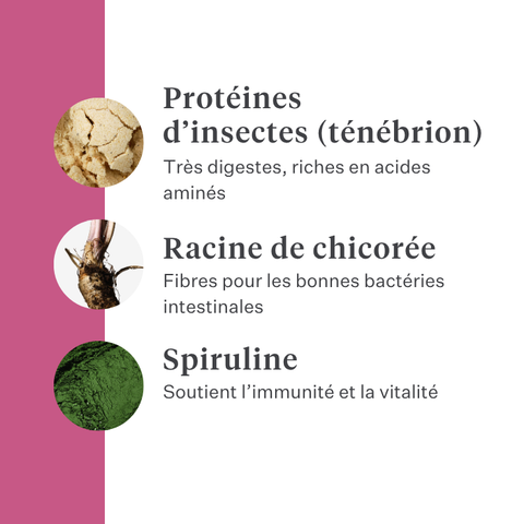 Imby Vitality nourriture pour chats, aliment sec complet hypoallergénique pour chats, à base de protéines d’insectes et de superaliments naturels, soutient la santé globale et le bien-être, aide à maintenir la santé urinaire et le soutien des articulations, formule équilibrée développée par des vétérinaires, croquettes très appétentes. | localization: FR