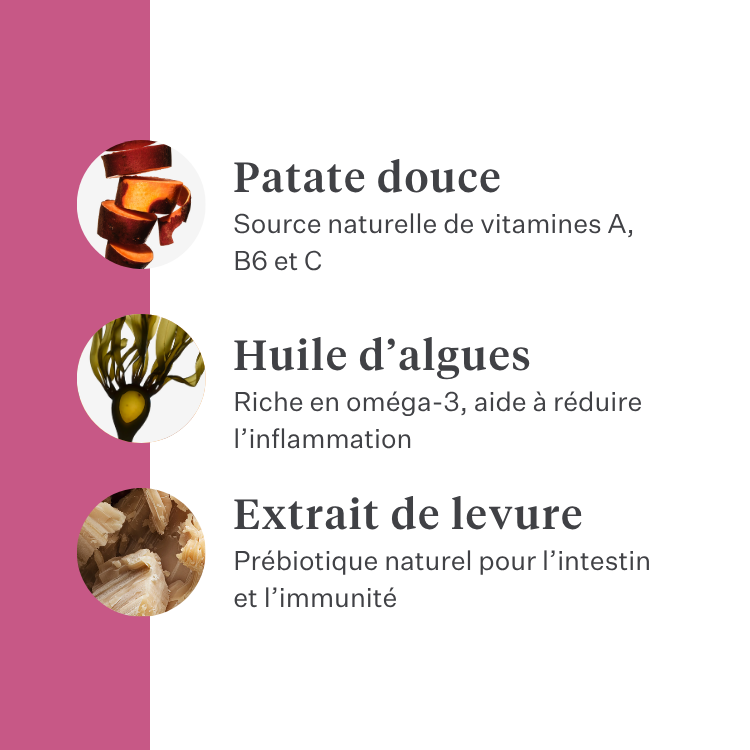Imby Vitality nourriture pour chats, aliment sec complet hypoallergénique pour chats, à base de protéines d’insectes et de superaliments naturels, soutient la santé globale et le bien-être, aide à maintenir la santé urinaire et le soutien des articulations, formule équilibrée développée par des vétérinaires, croquettes très appétentes. | localization: FR