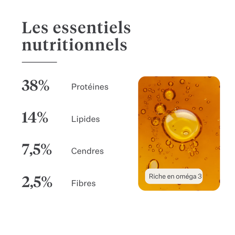 Imby Vitality nourriture pour chats, aliment sec complet hypoallergénique pour chats, à base de protéines d’insectes et de superaliments naturels, soutient la santé globale et le bien-être, aide à maintenir la santé urinaire et le soutien des articulations, formule équilibrée développée par des vétérinaires, croquettes très appétentes. | localization: FR