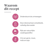Imby Vitality kattenvoer, volledig hypoallergeen droogvoer voor katten, op basis van insecteneiwitten en natuurlijke superfoods, ondersteunt de algemene gezondheid en het welzijn, helpt de urinewegen en gewrichten te ondersteunen, uitgebalanceerde formule ontwikkeld door dierenartsen, zeer smakelijke brok. | localization: NL