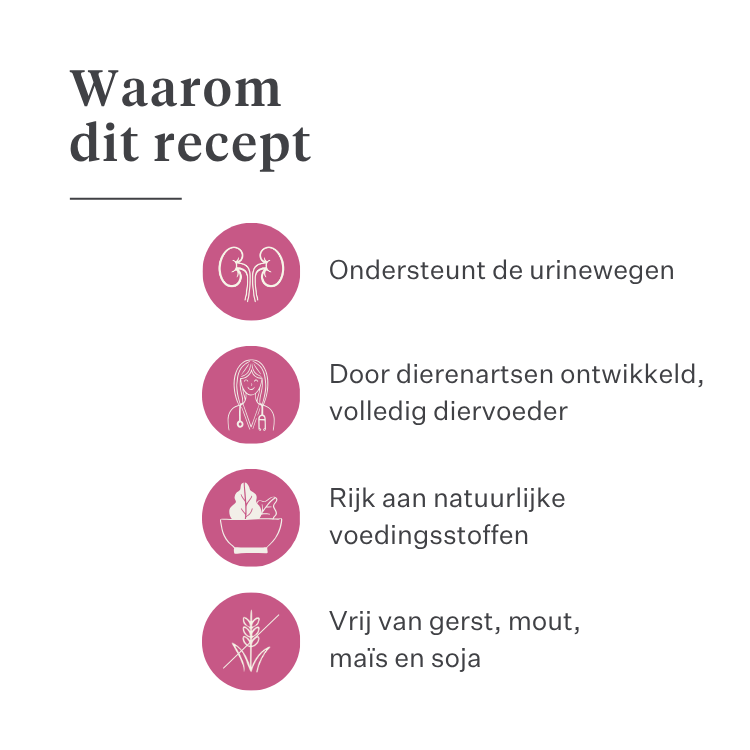 Imby Vitality kattenvoer, volledig hypoallergeen droogvoer voor katten, op basis van insecteneiwitten en natuurlijke superfoods, ondersteunt de algemene gezondheid en het welzijn, helpt de urinewegen en gewrichten te ondersteunen, uitgebalanceerde formule ontwikkeld door dierenartsen, zeer smakelijke brok. | localization: NL