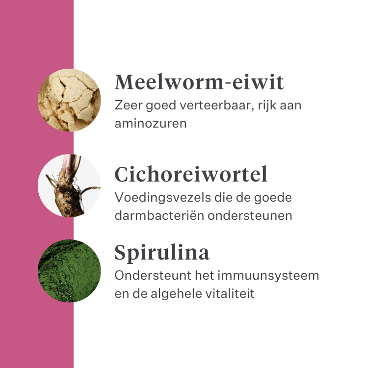 Imby Vitality kattenvoer, volledig hypoallergeen droogvoer voor katten, op basis van insecteneiwitten en natuurlijke superfoods, ondersteunt de algemene gezondheid en het welzijn, helpt de urinewegen en gewrichten te ondersteunen, uitgebalanceerde formule ontwikkeld door dierenartsen, zeer smakelijke brok. | localization: NL
