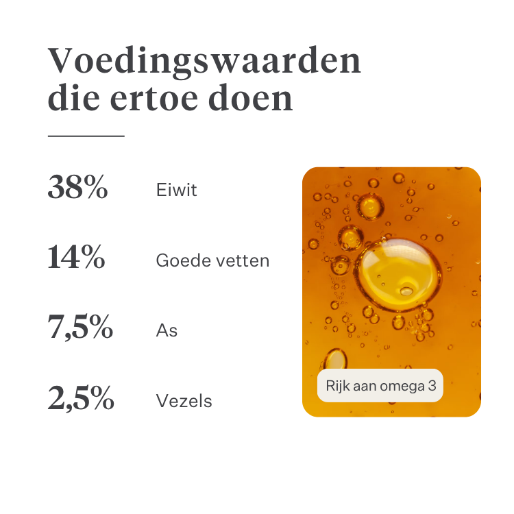 Imby Vitality kattenvoer, volledig hypoallergeen droogvoer voor katten, op basis van insecteneiwitten en natuurlijke superfoods, ondersteunt de algemene gezondheid en het welzijn, helpt de urinewegen en gewrichten te ondersteunen, uitgebalanceerde formule ontwikkeld door dierenartsen, zeer smakelijke brok. | localization: NL