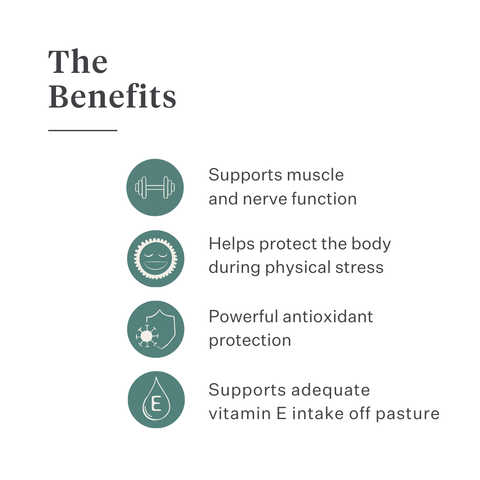 Vitamin E Liquid supplement for horses, supports muscle function, nerve health and antioxidant protection, highly bioavailable liquid formula with natural ingredients. | localization: EN