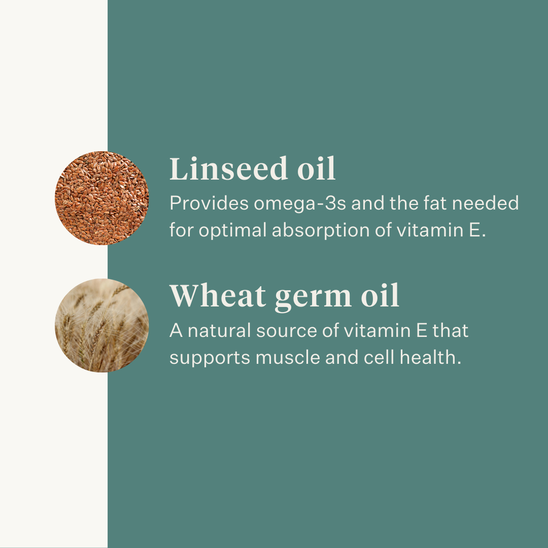 Vitamina E liquida | ad alto assorbimento | supporto per muscoli e nervi  del cavallo  Curafyt