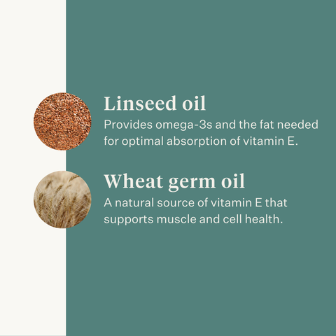 Vitamin E Liquid supplement for horses, supports muscle function, nerve health and antioxidant protection, highly bioavailable liquid formula with natural ingredients. | localization: EN