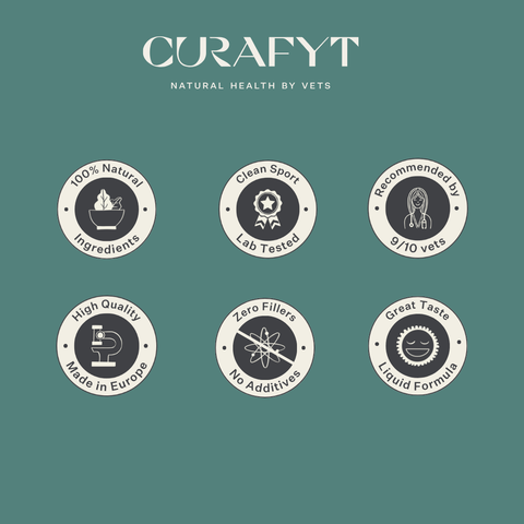 Vitamin E Liquid supplement for horses, supports muscle function, nerve health and antioxidant protection, highly bioavailable liquid formula with natural ingredients. | localization: EN