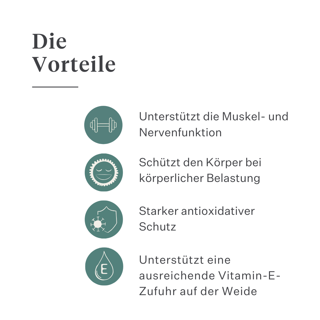 Flüssiges Vitamin-E-Ergänzungsfuttermittel für Pferde, unterstützt die Muskelfunktion, die Nervengesundheit und den antioxidativen Schutz, hoch bioverfügbare Flüssigformel mit natürlichen Inhaltsstoffen. | localization: DE