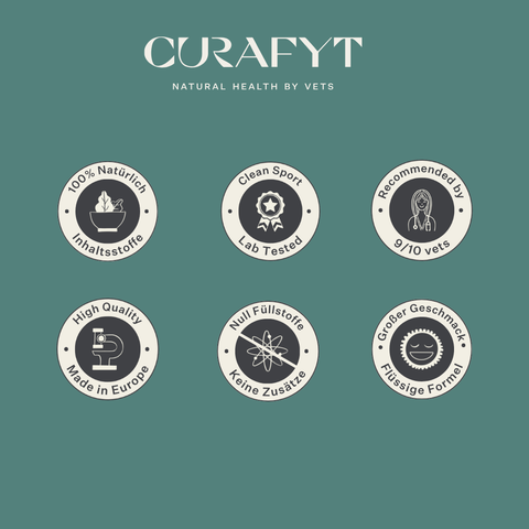 Flüssiges Vitamin-E-Ergänzungsfuttermittel für Pferde, unterstützt die Muskelfunktion, die Nervengesundheit und den antioxidativen Schutz, hoch bioverfügbare Flüssigformel mit natürlichen Inhaltsstoffen. | localization: DE