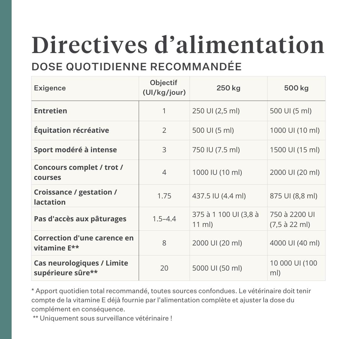 Complément Vitamin E liquide pour chevaux, soutient la fonction musculaire, la santé nerveuse et la protection antioxydante, formule liquide hautement biodisponible à base d’ingrédients naturels. | localization: FR