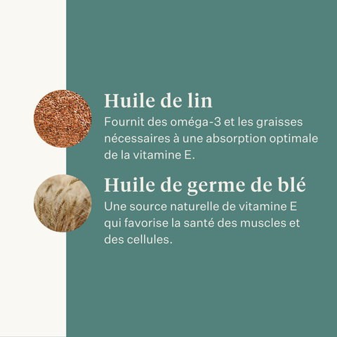 Vitamine E liquide | Haute absorption | Soutien des muscles et du systme nerveux du cheval Curafyt Vitamine E liquide | Haute absorption | Soutien des muscles et du systme nerveux du cheval Curafyt
