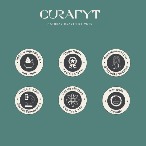 Vitamine E liquide | Haute absorption | Soutien des muscles et du systme nerveux du cheval Curafyt Vitamine E liquide | Haute absorption | Soutien des muscles et du systme nerveux du cheval Curafyt