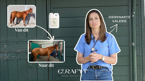 Uitleg van de dierenarts: hoe Grow & Glow gezonde gewichtstoename ondersteunt