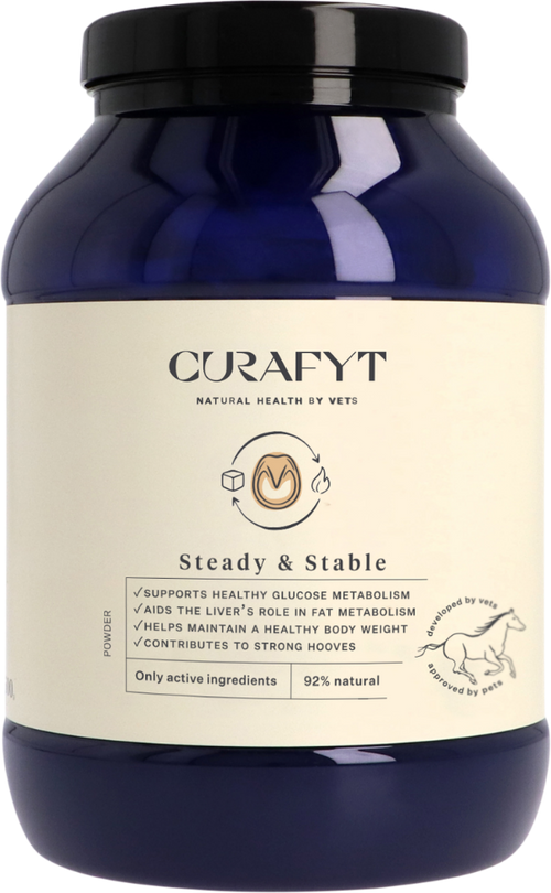 Steady & Stable 1500 g