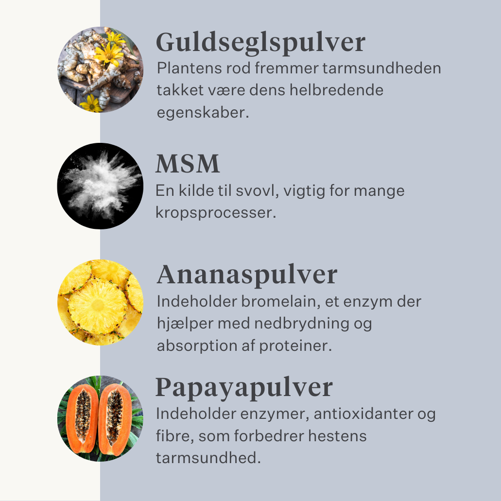 hest pony tarm kolik gas mave mavesår probiotika præbiotika hørfrø diarré vandig afføring blød afføring  | localization: DA