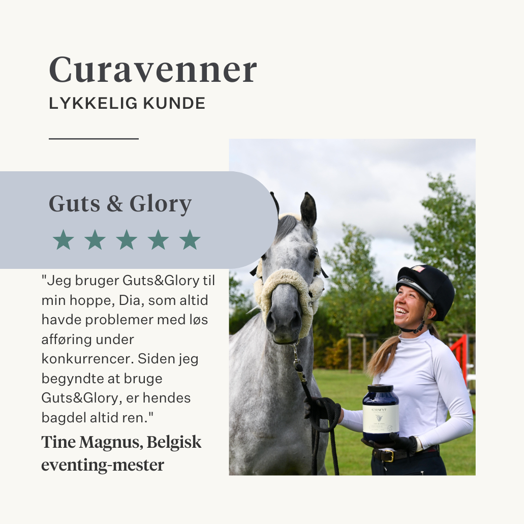 hest pony tarm kolik gas mave mavesår probiotika præbiotika hørfrø diarré vandig afføring blød afføring  | localization: DA