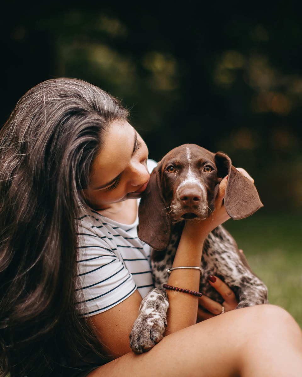 Perros y gatos
