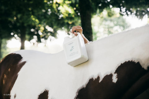 De resultaten spreken voor zich, een gezondere vacht, betere conditie, meer uithoudingsvermogen en paarden die fantastisch aanvoelen om te rijden.