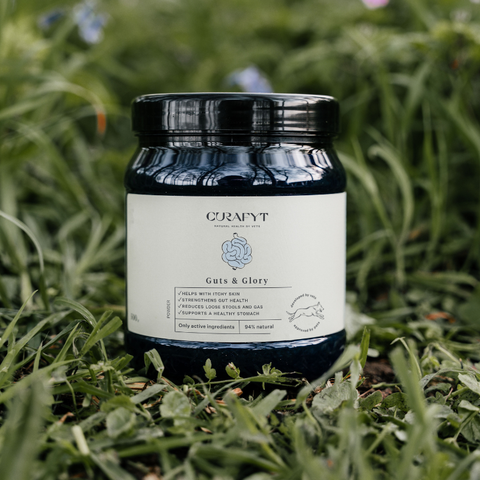 Guts & Glory Complément alimentaire
